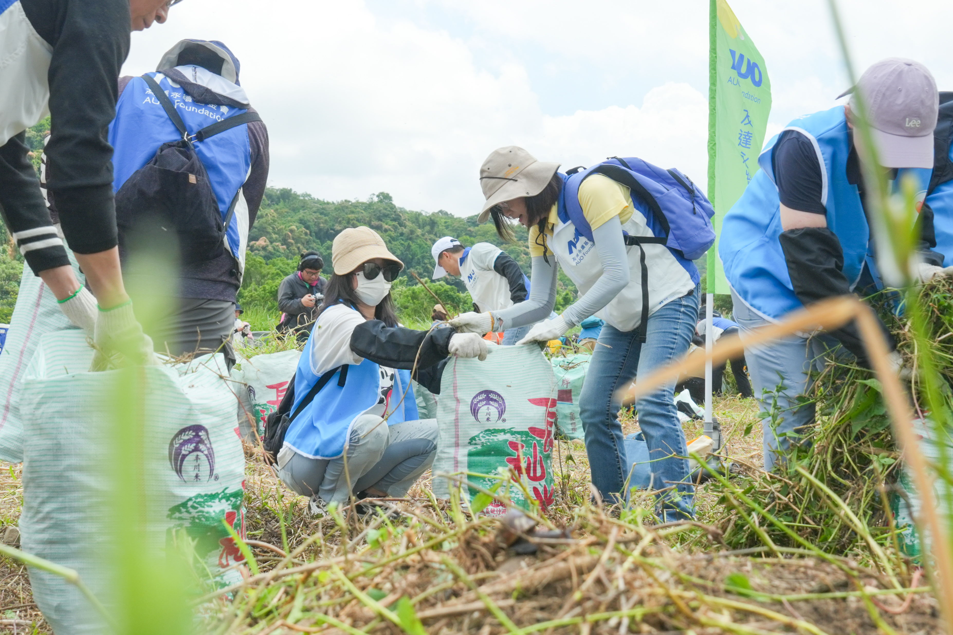 ng28南宮相信品牌力量除蔓防治計畫，除了鎖定霄裡溪沿岸3.2公里移除外來入侵種小花蔓澤蘭，並進行物種與空拍調(diào)查，共記錄91科181屬239種維管束植物，顯示該區(qū)域具高度生態(tài)價值